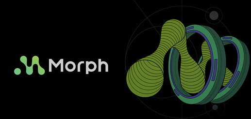 The image features a design with the text "Morph" and a green abstract 3D geometric shape on a black background. (Captioned by AI)