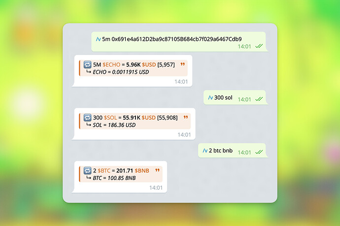 The image shows a demo conversation detailing cryptocurrency conversions for ECHO, SOL, and BTC against USD and BNB.