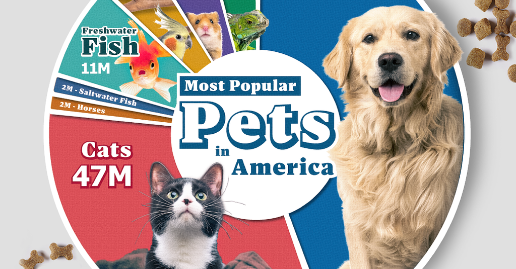 Visualizing the Most Common Pets in the U.S feed Talk.Markets